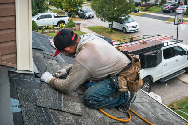 Professional Roof Repair technician working in New Germany, MN